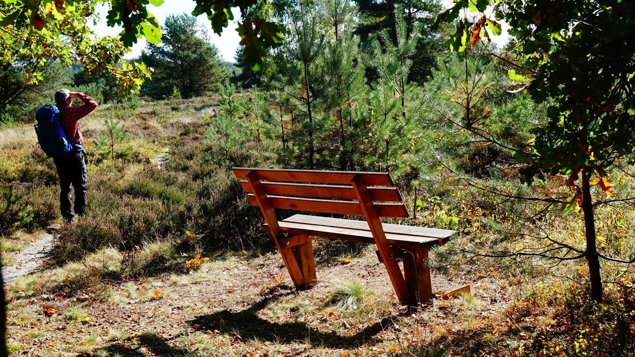 Lüneburger Heide Wanderung von Einem über den Wilseder Berg, Fürstengrab, Niederhaverbeck und zurück