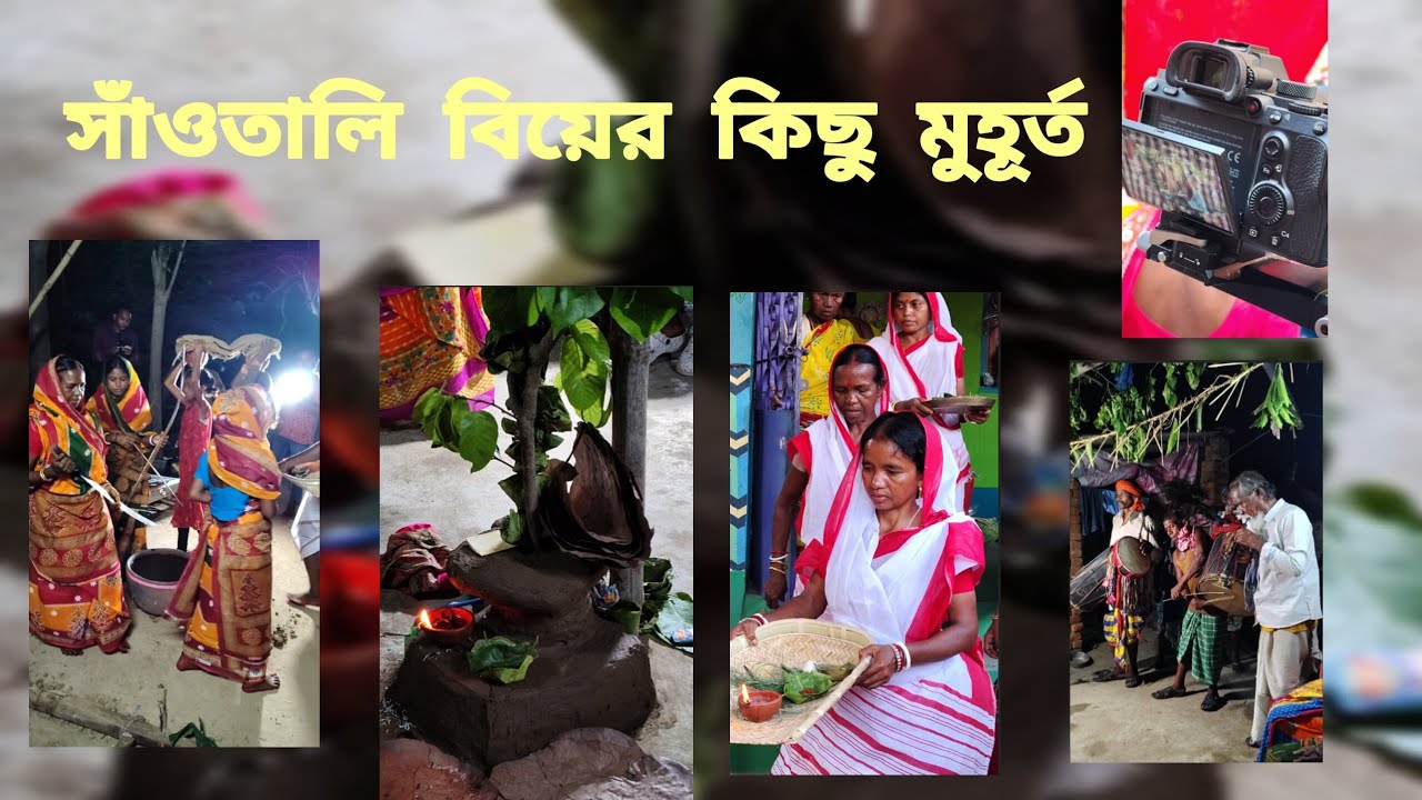 সাঁওতালি বিয়ের অনন্য অসাধারণ হাস্যরসাত্মক নিয়ম, আসুন দেখে নিই। @salviamurmu18 @santalibeat 