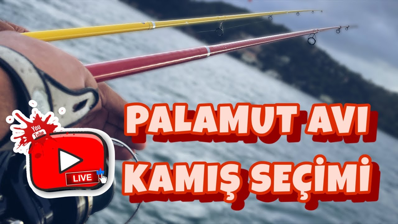 Kurşun Arkası Palamut / Lüfer Balık avı Kamış Önerileri