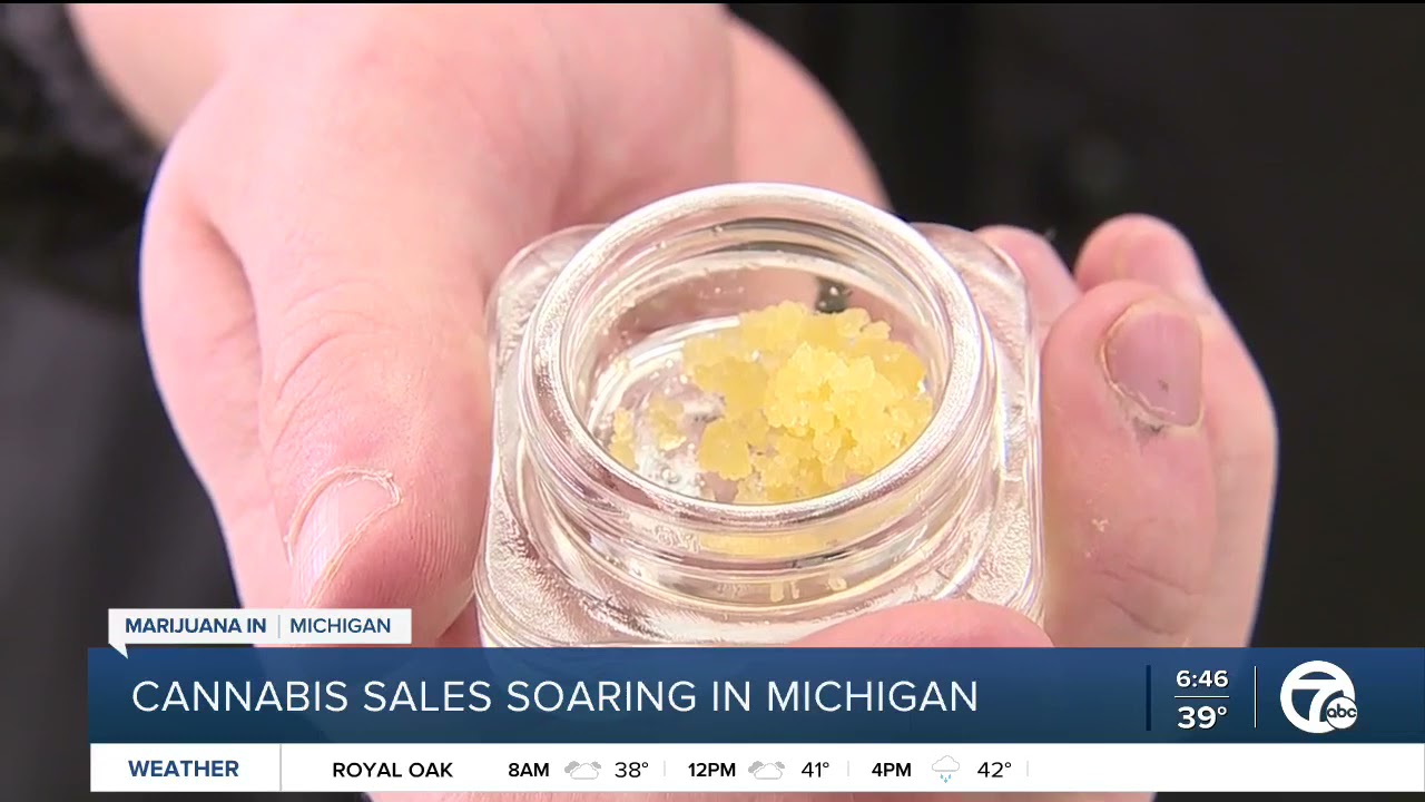 Aric Klar talks about Cannabis on WXYZ