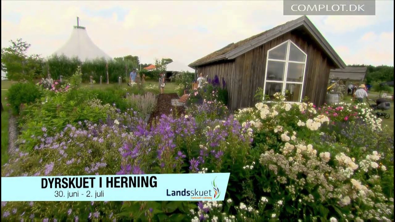 Landsskuet