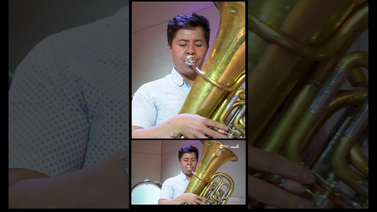 MOSAICO COLOMBIANO clip 11 #20deenero #colombianmusic #music #viral