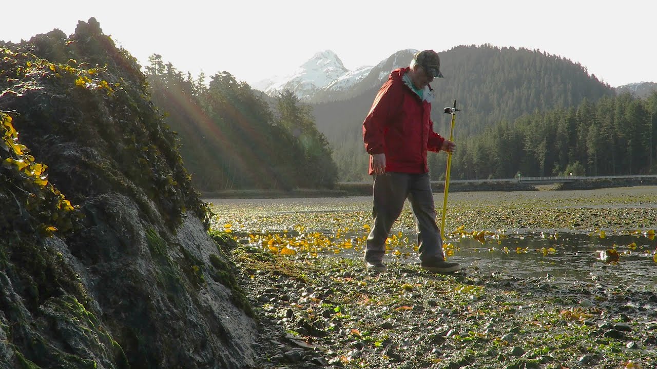 Sitka Alaska 4/11/2025. Let's Go Explore a Beach. Clams, Critters, Crabs, Dolly Varden, and Mud.