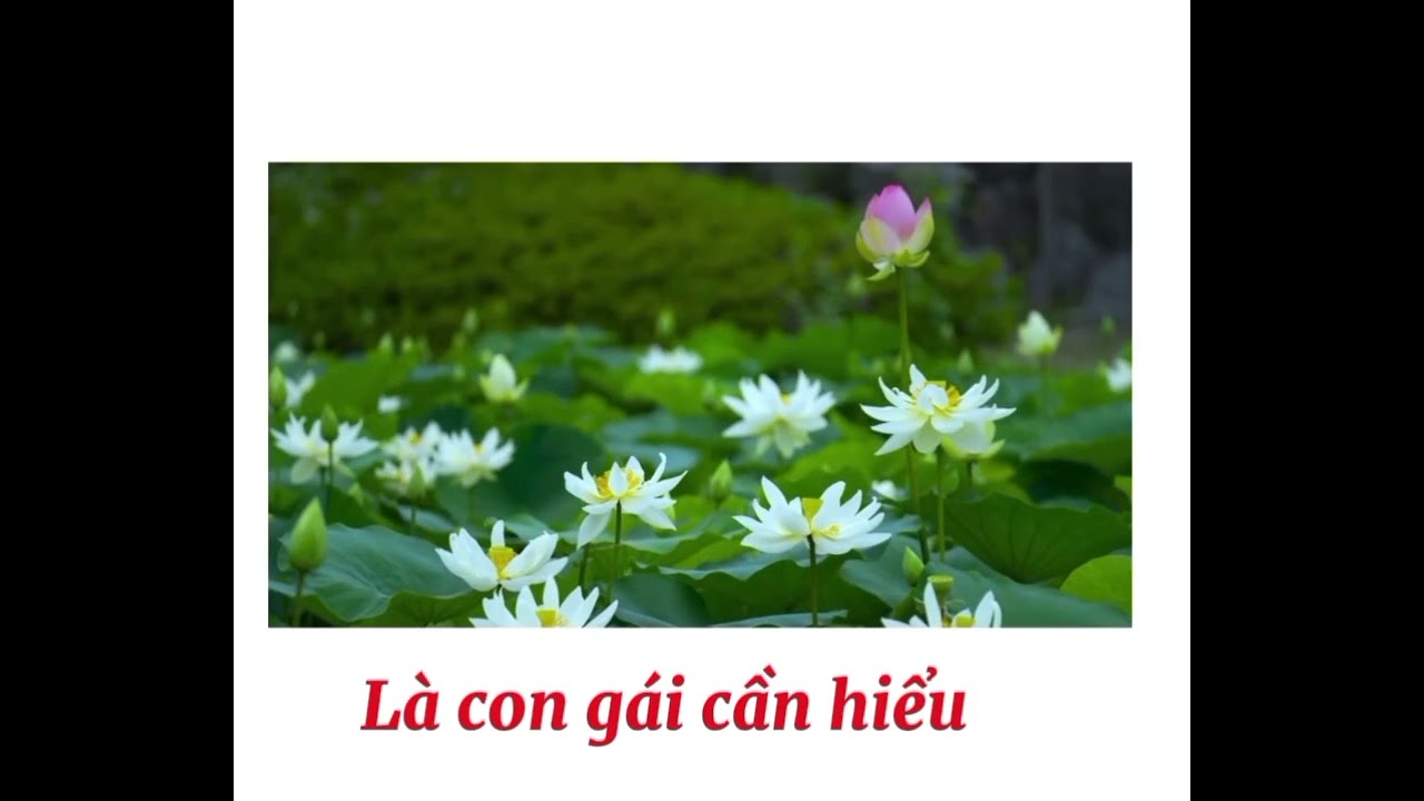 Là con gái cần hiểu