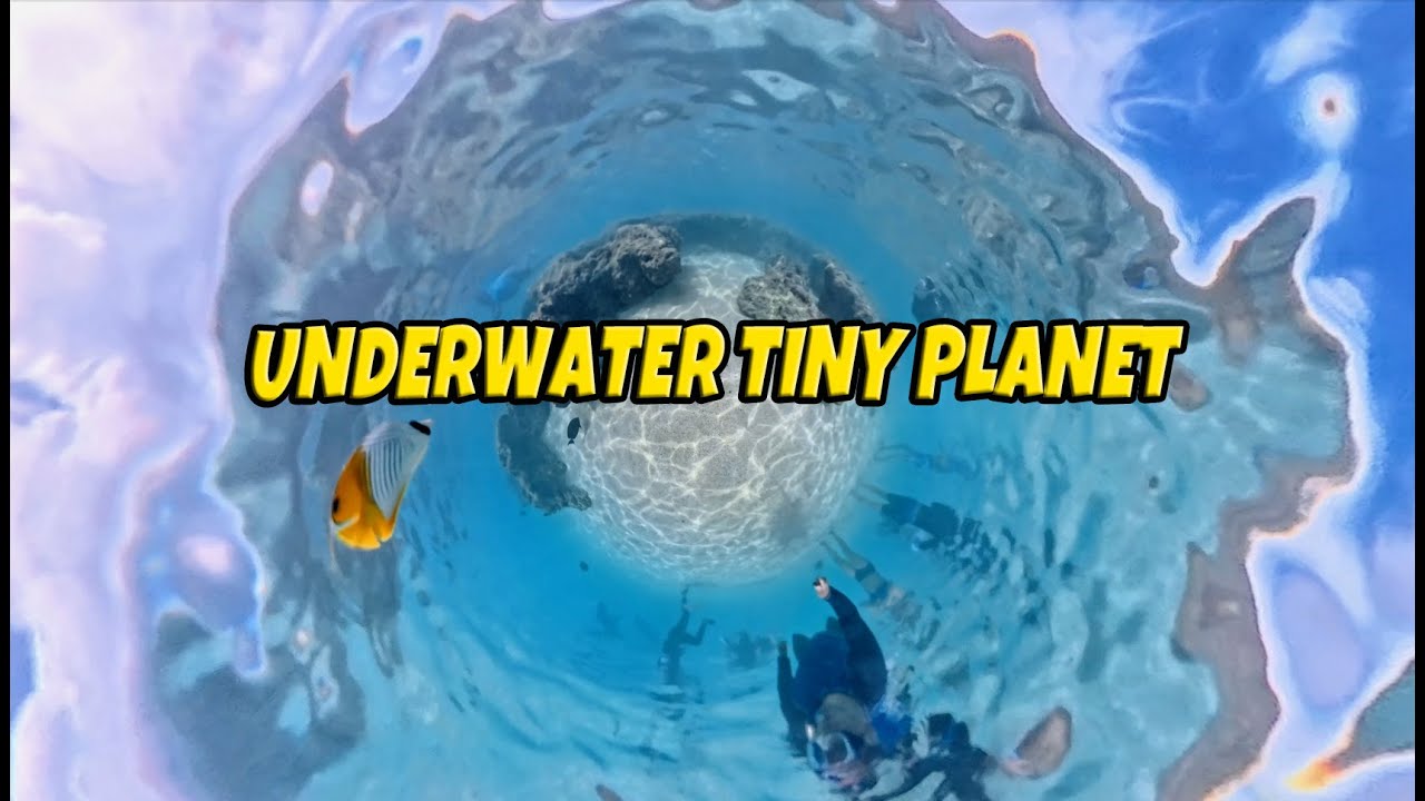 Tiny Planet Hanauma Bay 🌍 Underwater World | Insta360 X5 (Sept 2025)