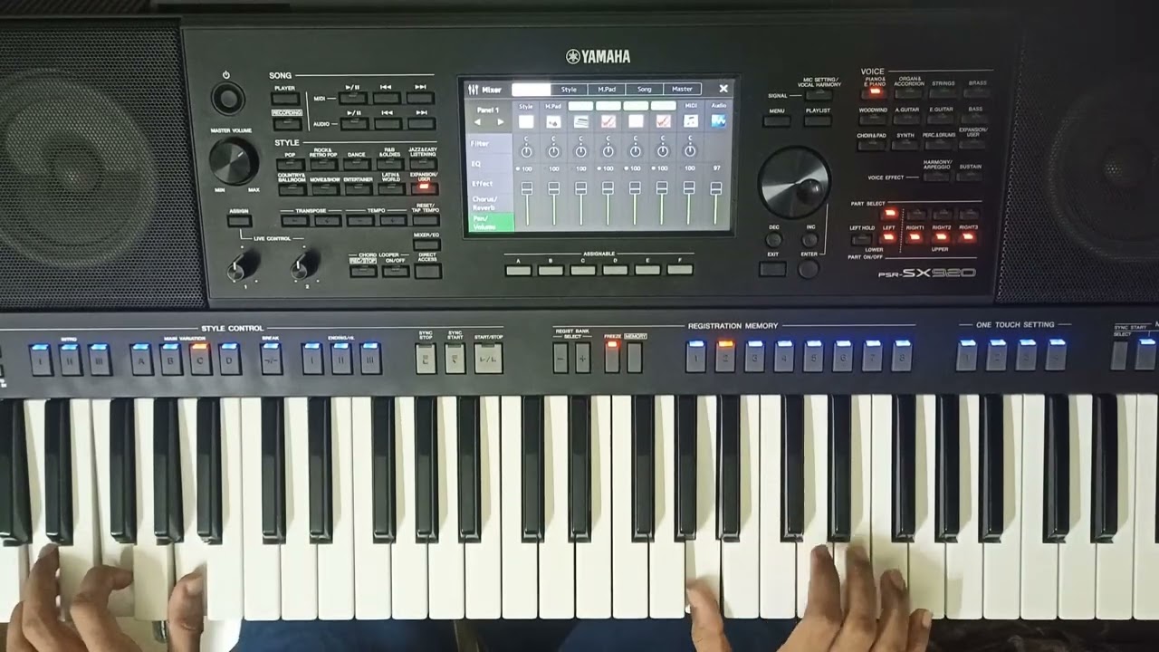 RAAVILUM PAKALILUM | ANIL ADOOR NEW SONG | Yamaha sx920
