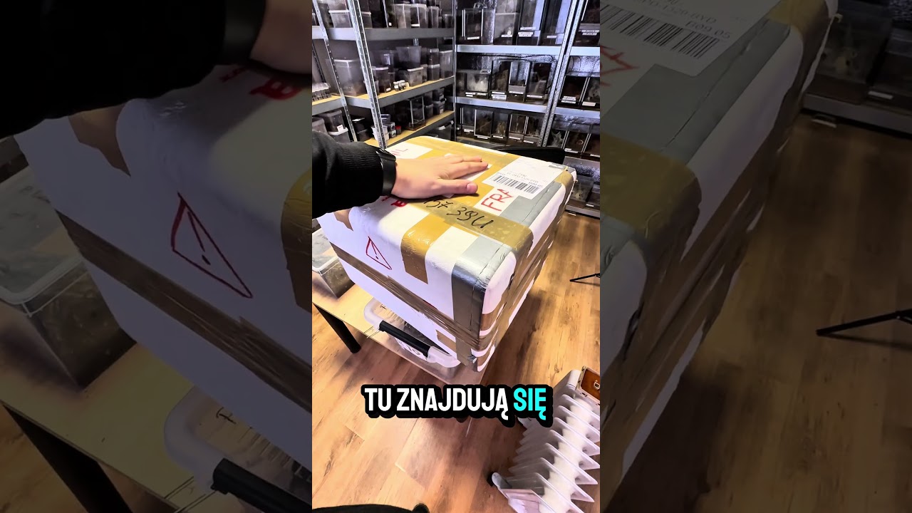 Gwiazdorek w tym roku się spóźnił 😂
