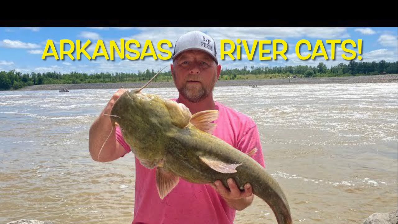 Arkansas River catfishing / We tore the flatheads up!