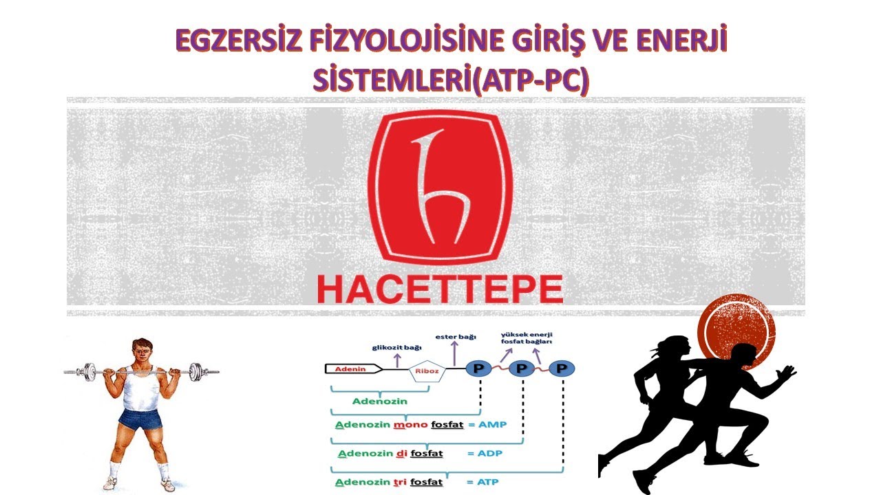 BESYO ÖABT-EGZERSİZ FİZYOLOJİSİNE GİRİŞ VE ENERJİ SİSTEMLERİ(ATP-PC) KONU ANLATIMI VE SORU ÇÖZÜMÜ