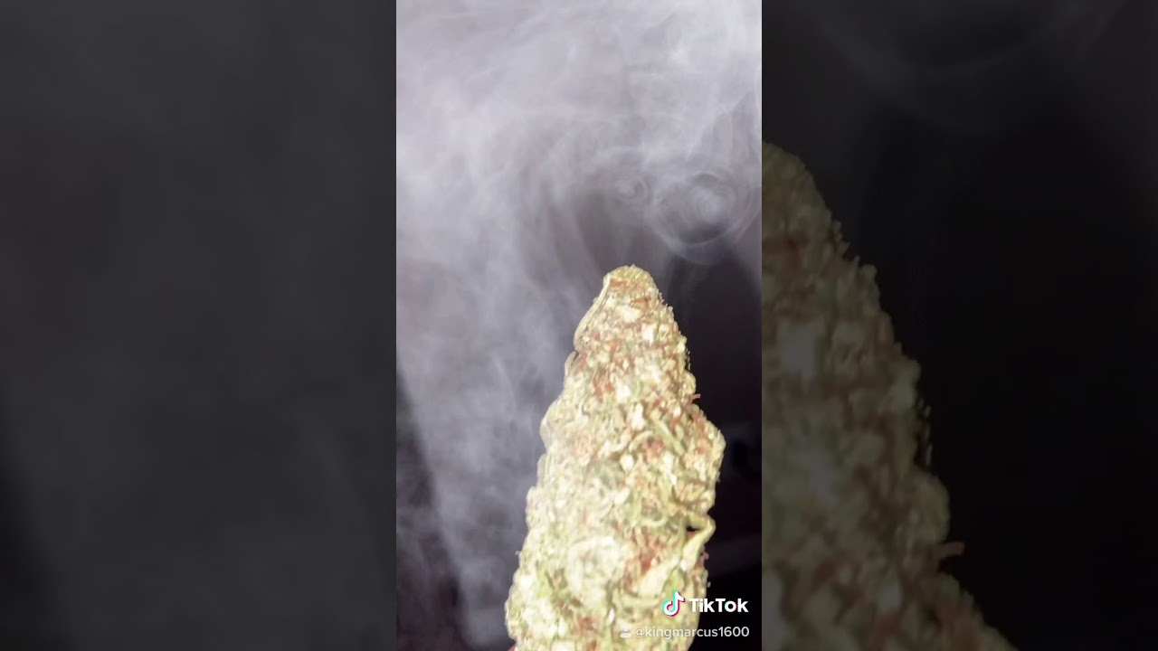 Bomb bay Afghan Kush#weedisgood#treeofknowledge#thankscuz