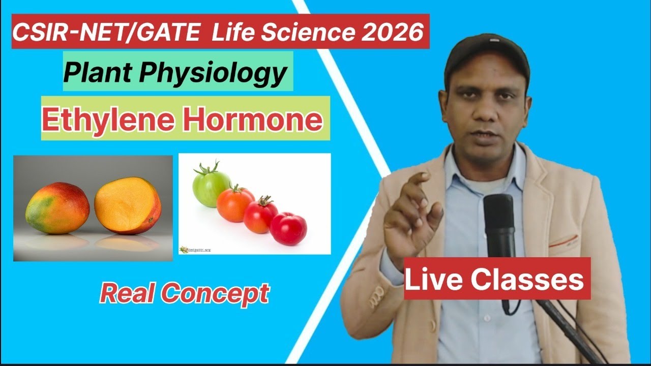 Ethylene hormone  | Plant Physiology  | Plant Hormone | CSIR-NET |#csirnetlifescience #gate