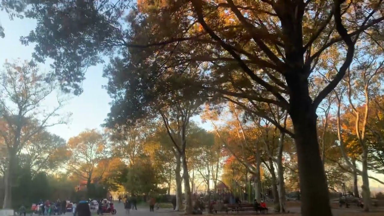 #fallfoliage at #sunsetpark Brooklyn NYC
