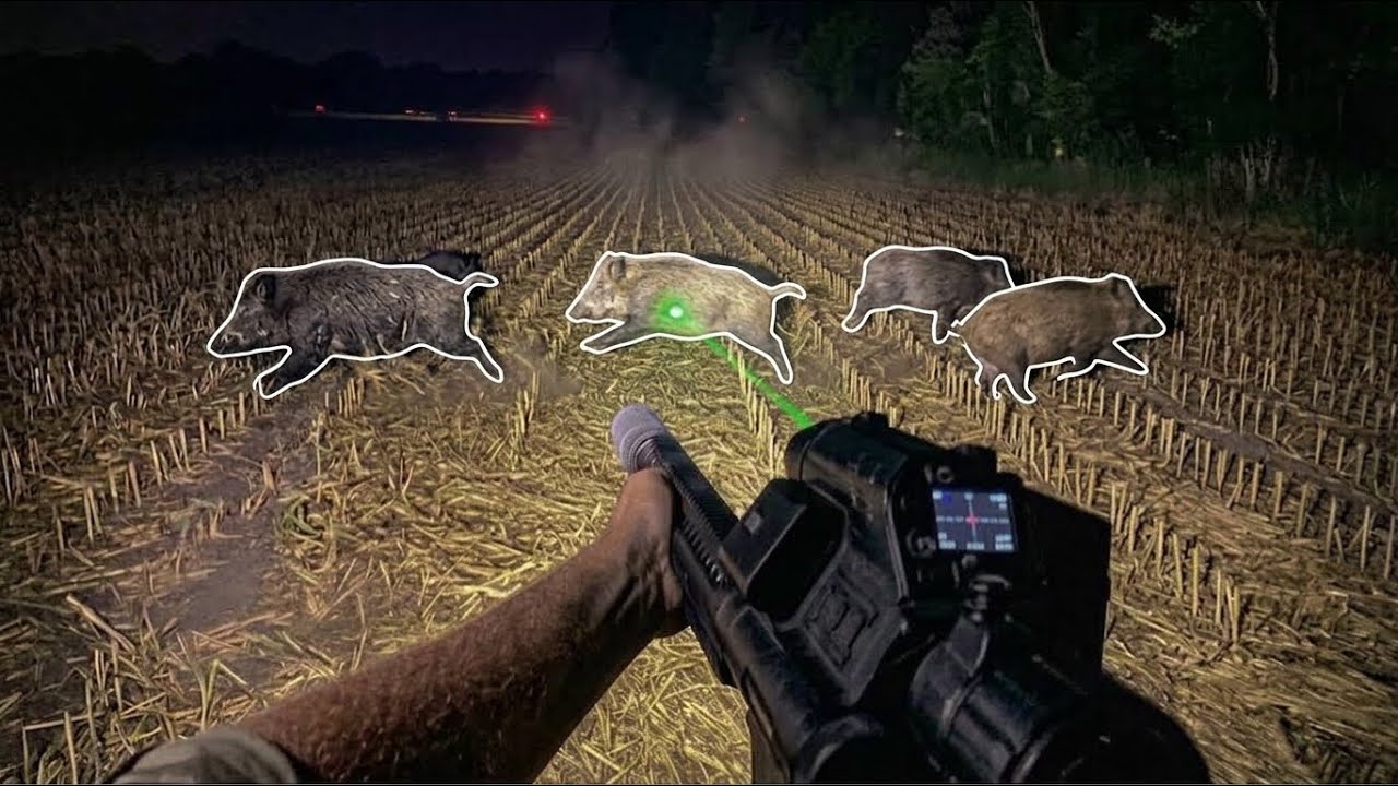 Extreme Hog Eradication Nonstop Action 