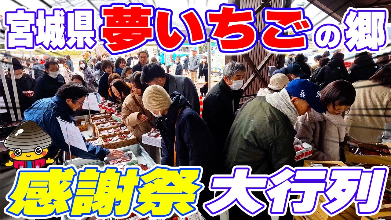 スーパーでは買えない“完熟いちご”｜農水産物直売所夢いちごの郷７周年感謝祭【宮城県山元町】