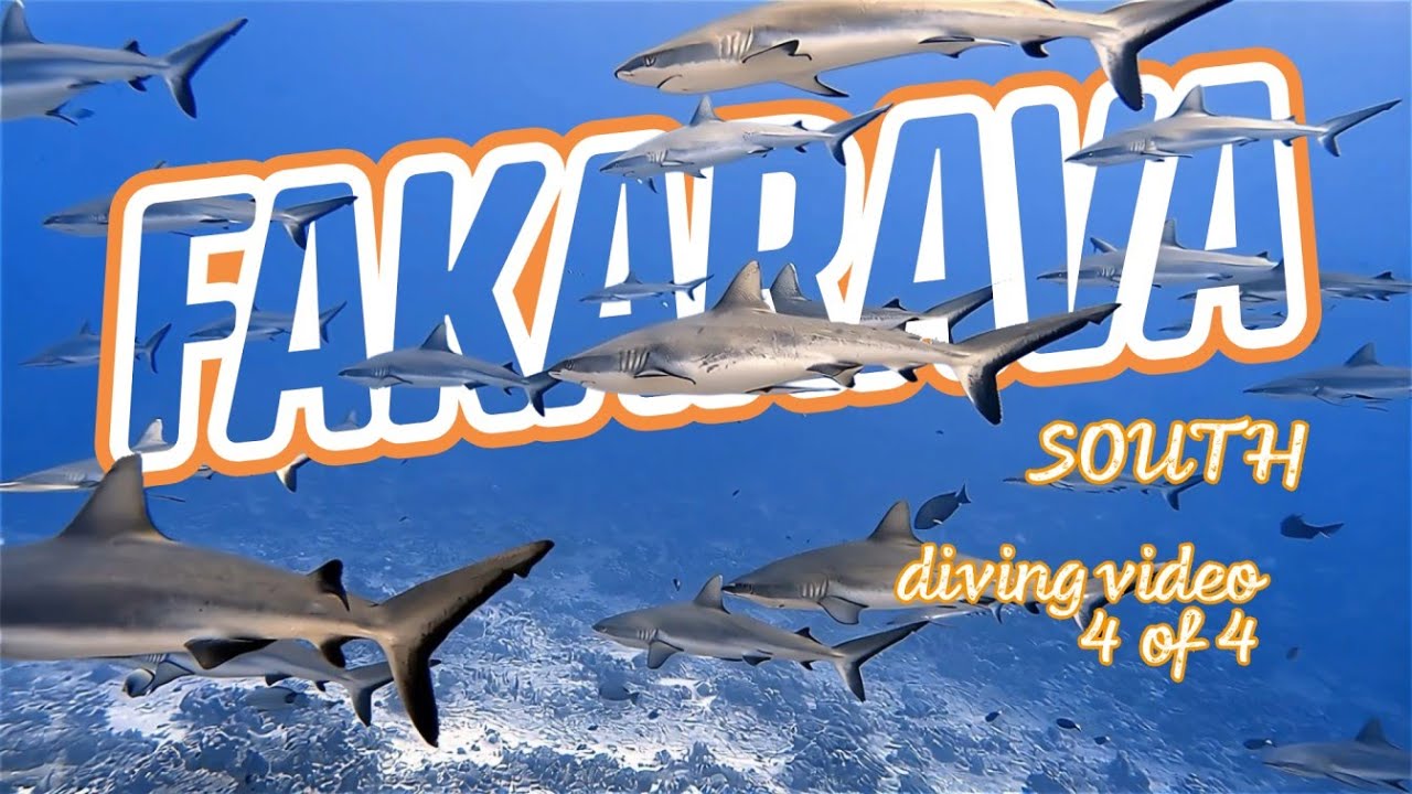 🏝️ French Polynesia Diving Documentary [4/4]: FAKARAVA SOUTH