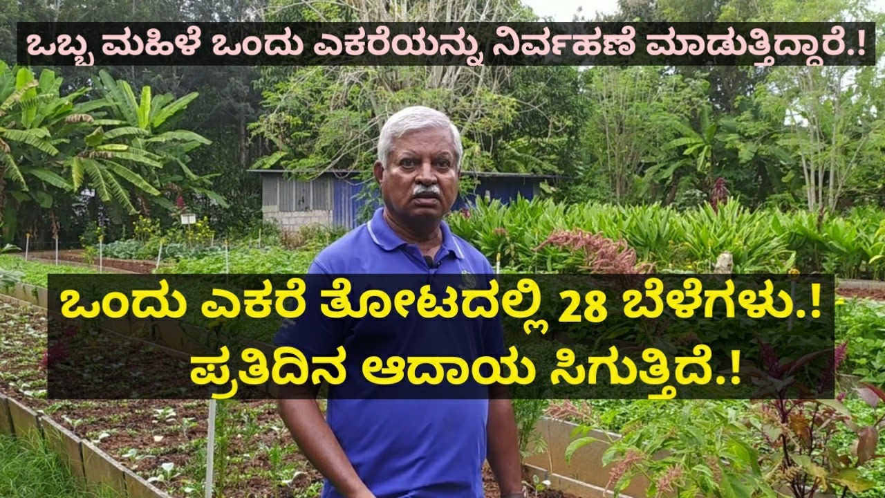 ಒಂದು ಎಕರೆ ತೋಟದಲ್ಲಿ 28 ಬೆಳೆಗಳು.! ಪ್ರತಿದಿನ ಆದಾಯ ಸಿಗುತ್ತಿದೆ.! ಒಬ್ಬ ಮಹಿಳೆ 1 ಎಕರೆಯನ್ನು ಮಾಡುತ್ತಿದ್ದಾರೆ.!