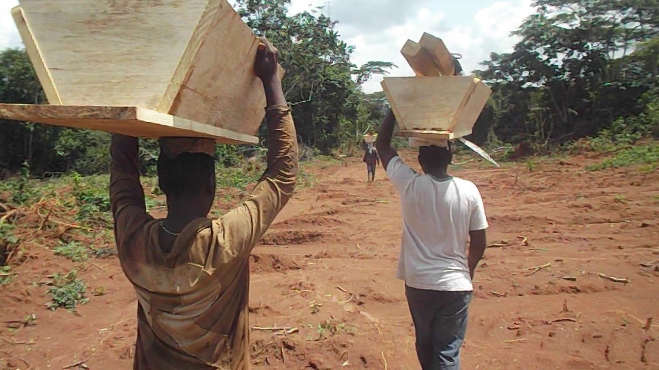 tchambat Innocent  apiculture : Fabrication et Pose d'une ruche kenyanne