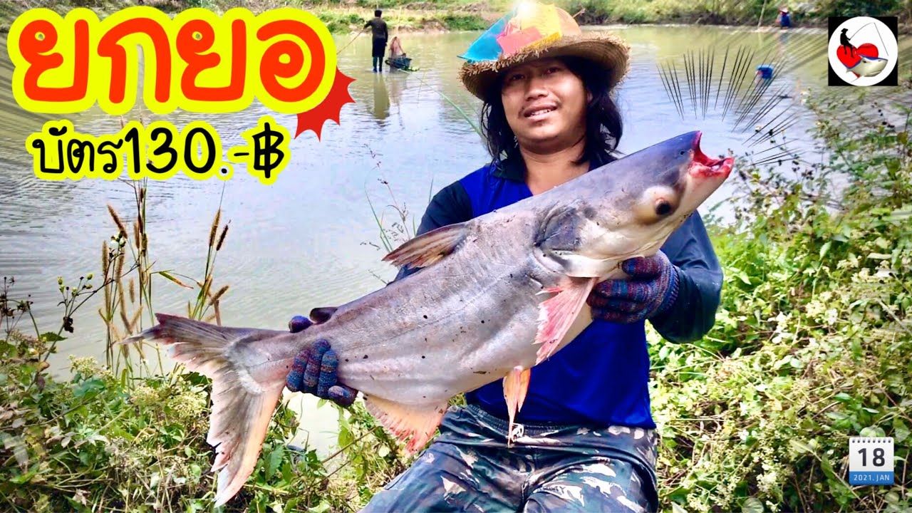 ยกยอ สระเหมา ►Fishing lifestyle Ep.478
