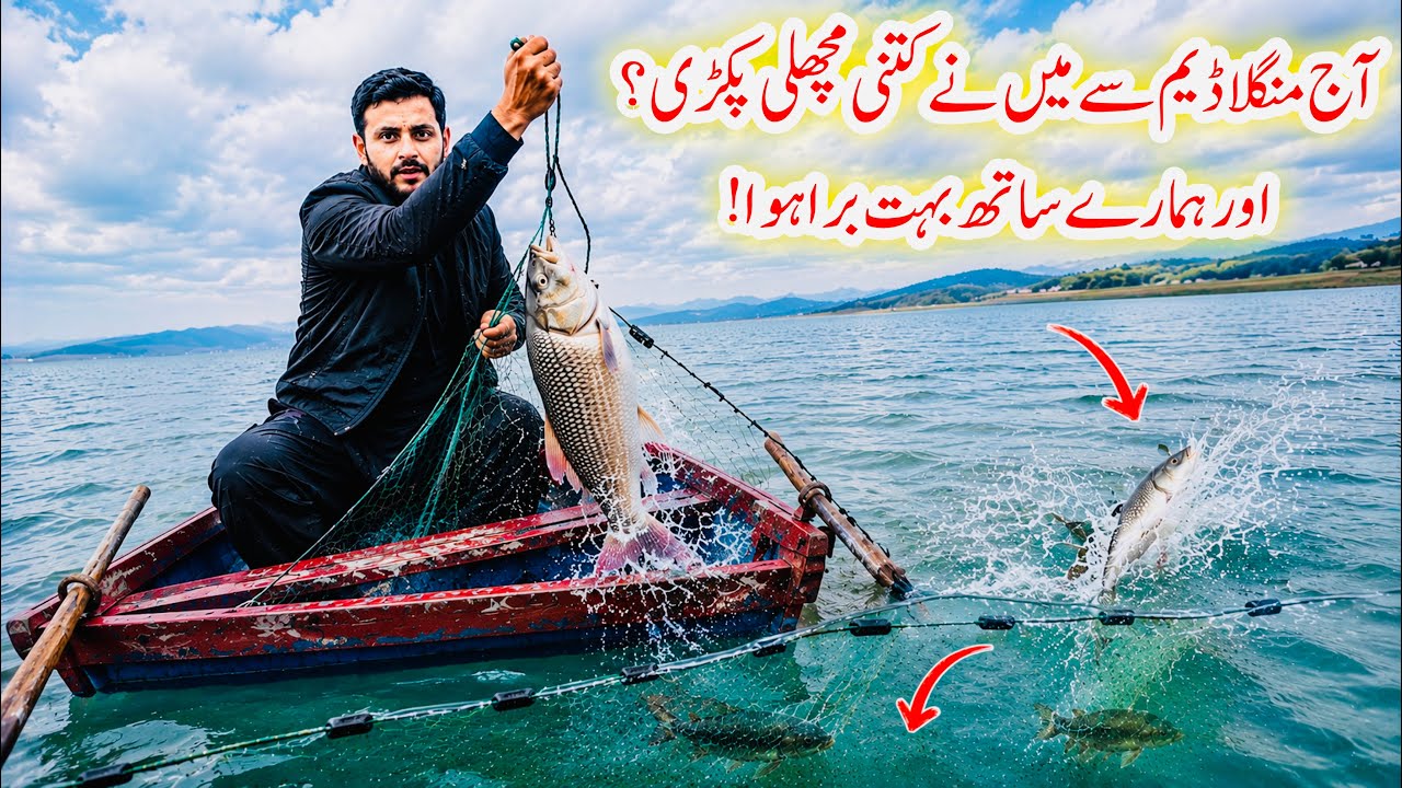      Mangla Dam Latest Update | Today&rsquo;s Fishing Catch😳