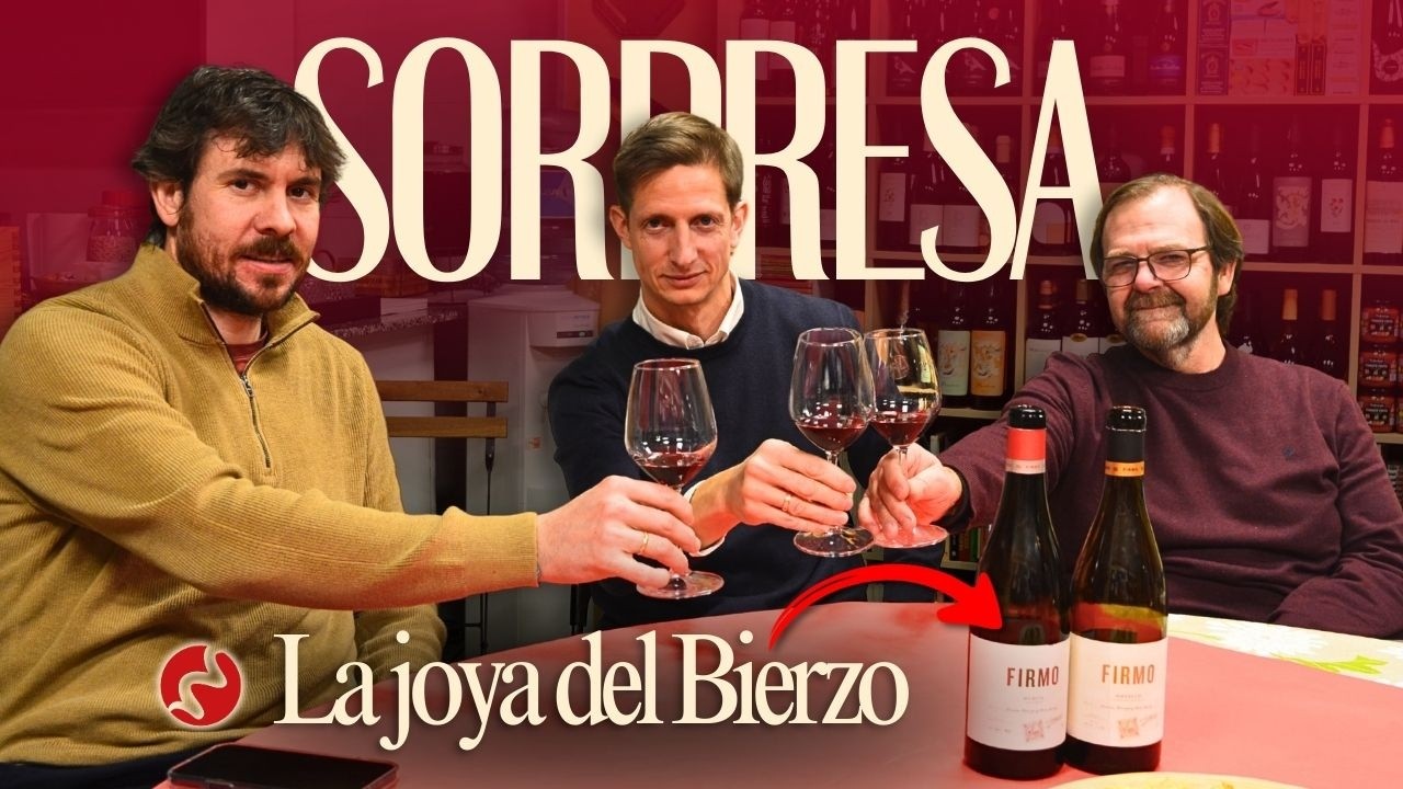 Este VINO del Bierzo es UNA JOYA que casi nadie conoce 🍷