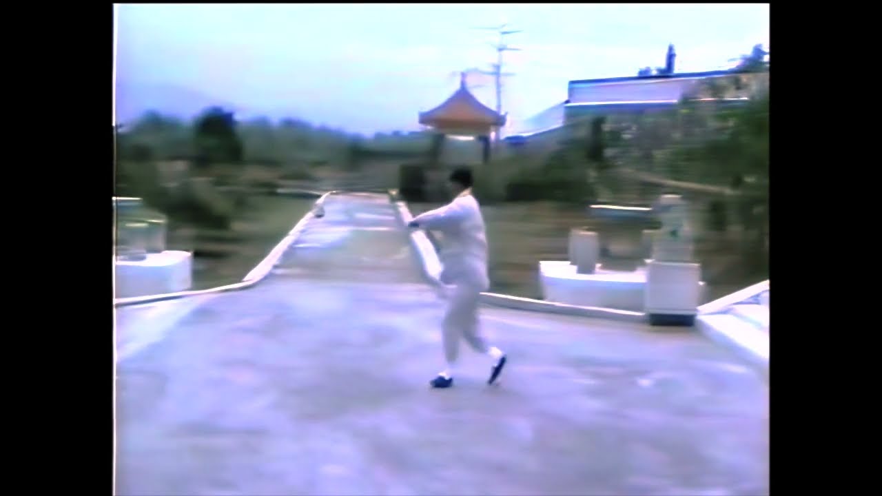 Heaven & Earth Sword  - WUDANG Tai Chi (Cheng Tin Hung - Hong Kong) - Épée du Ciel et de la Terre