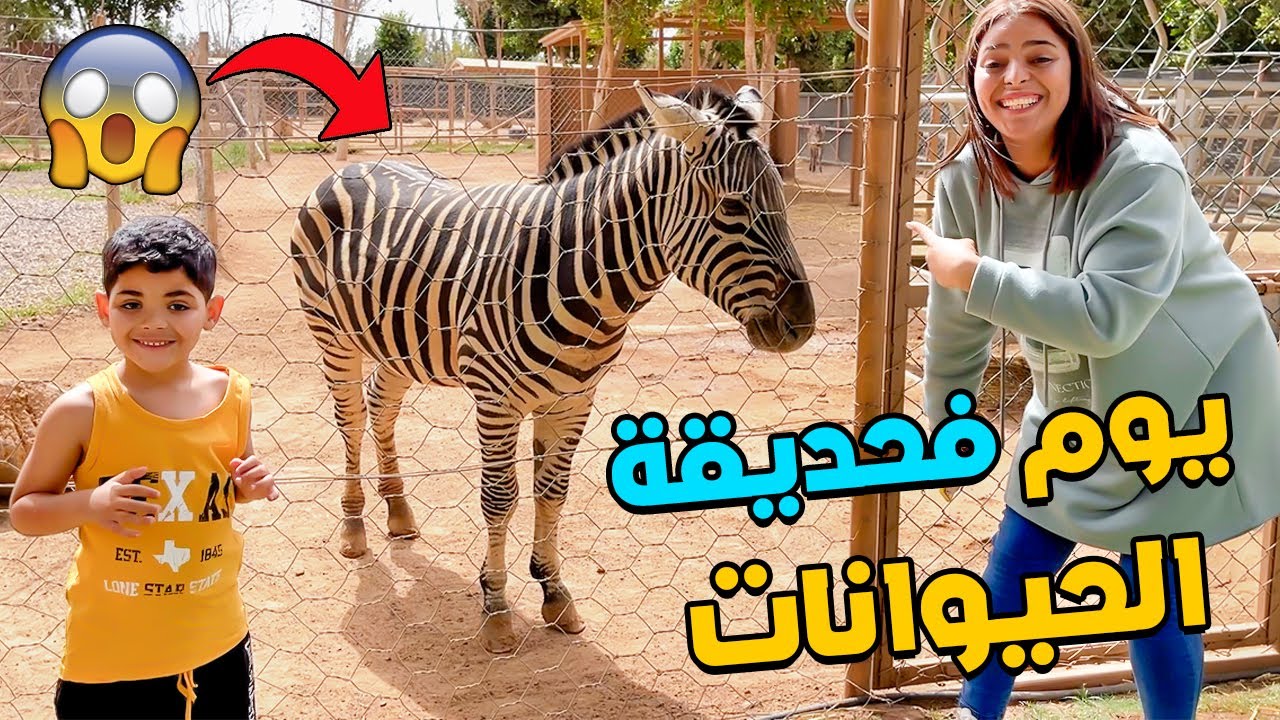 واخيرا قضينا يوم كامل فحديقة الحيوانات🔥🦁 ضربني ثور هائج 😨
