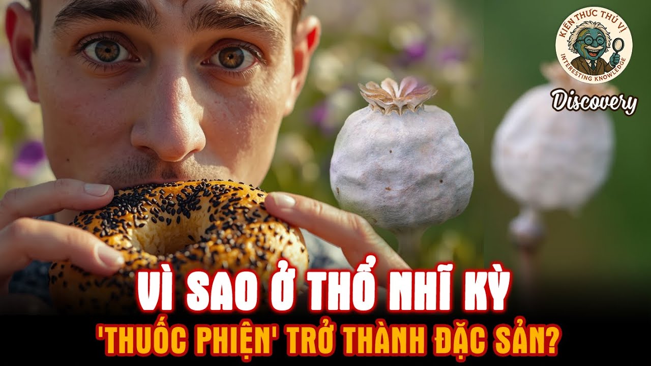 Vì Sao Ở Thổ Nhĩ Kỳ 'Thuốc Phiện' Trở Thành Đặc Sản? Discovery - Kiến thức thú vị