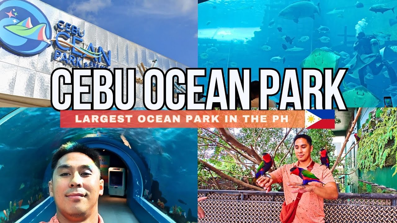 The LARGEST OCEANARIUM in the Philippines - Cebu Ocean Park Tour and Review