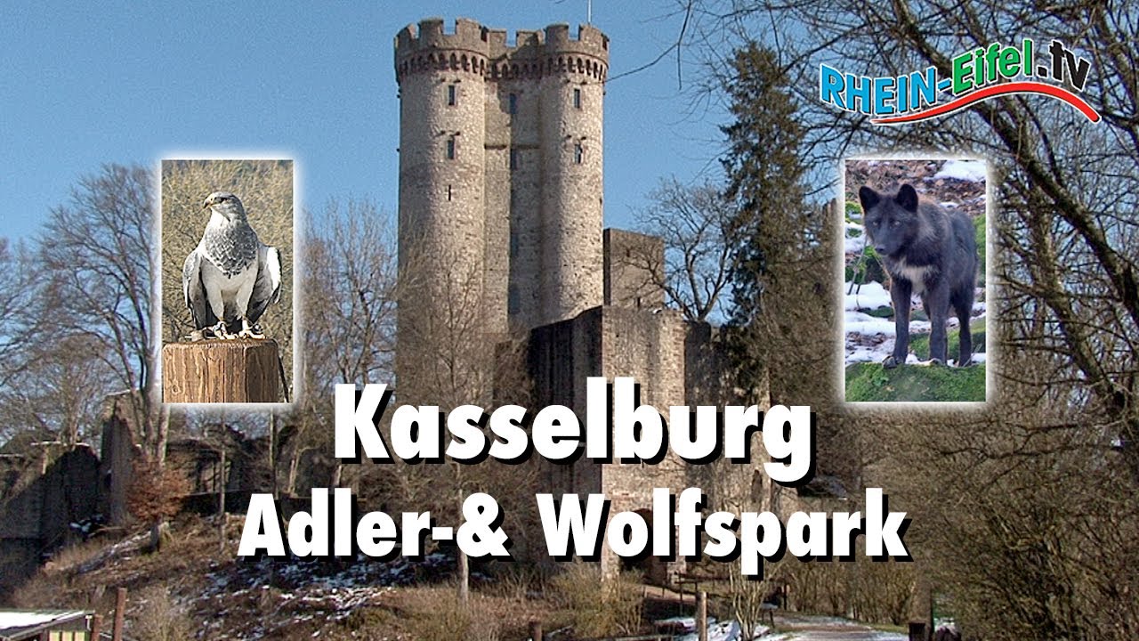 Kasselburg | Adler- & Wolfspark | Rhein-Eifel.TV