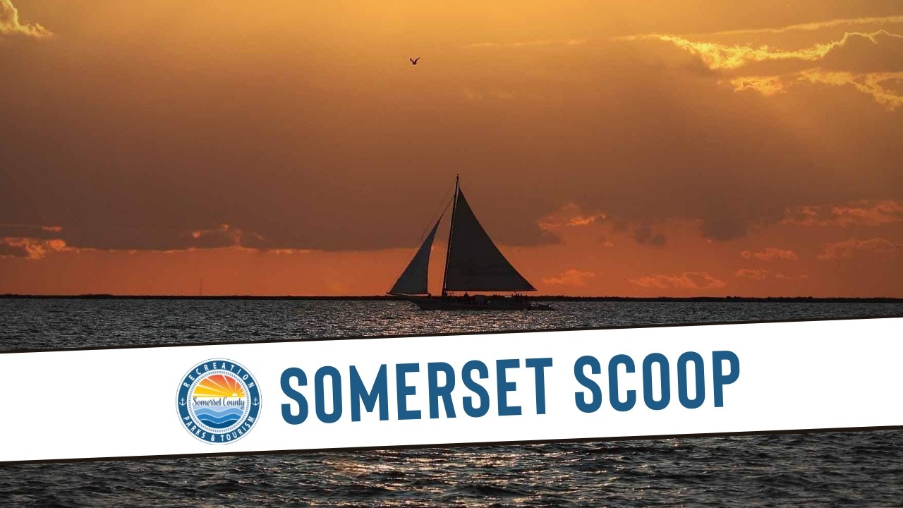 Somerset Scoop 2 11 26