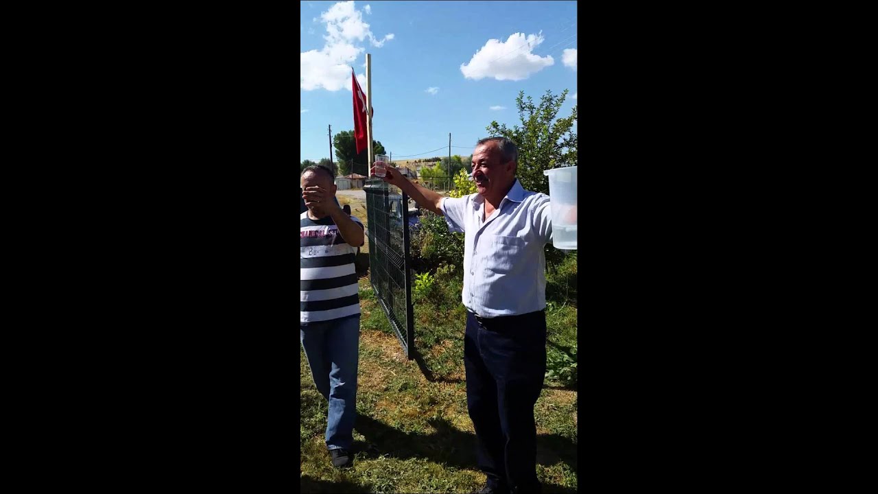 zamani koçak