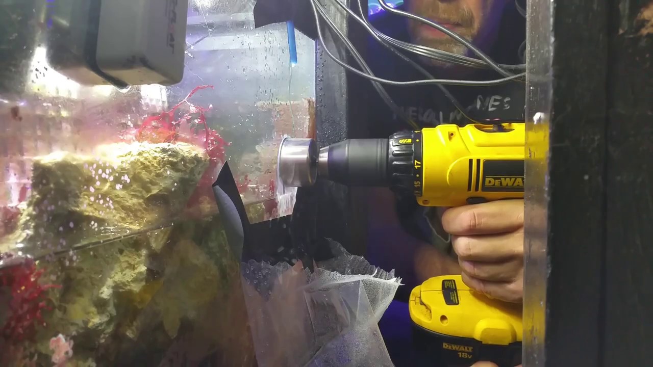 Drilling an Aquarium WITH WATER IN IT