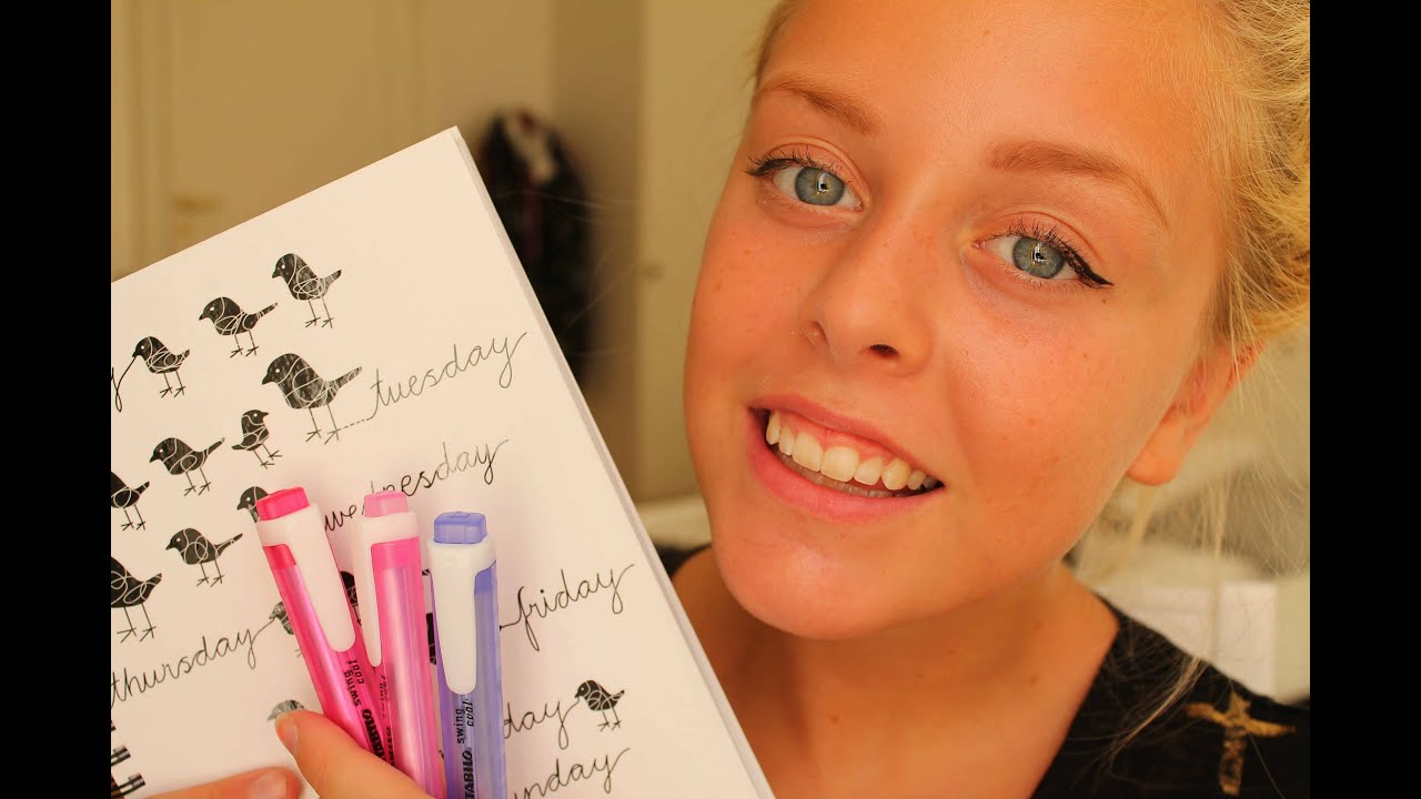 ✐ SCHOOL SUPPLIES HAUL ✐ Back to School 2013