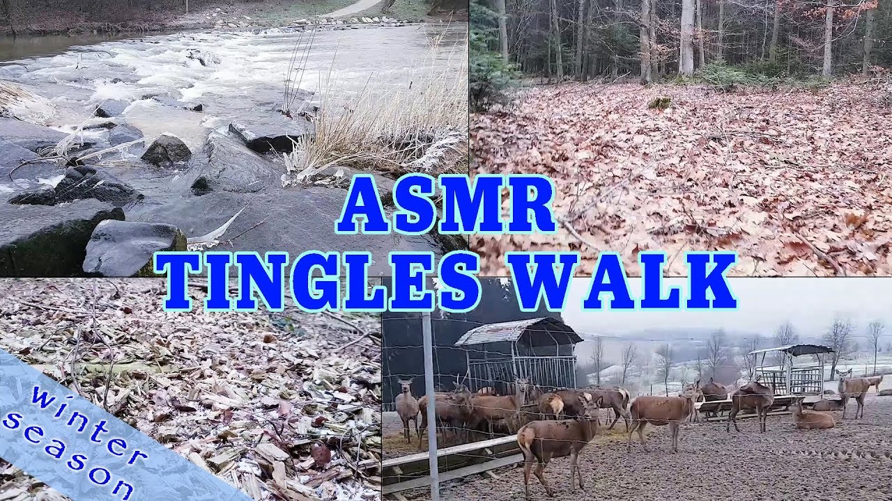ASMR tingles walk [frozen crinkles, snow, ice, water, wind, leaves]