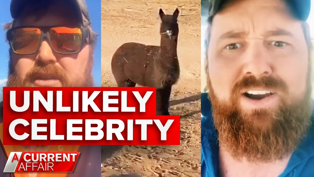 Aussie farmer becomes unlikely global TikTok star | A Current Affair