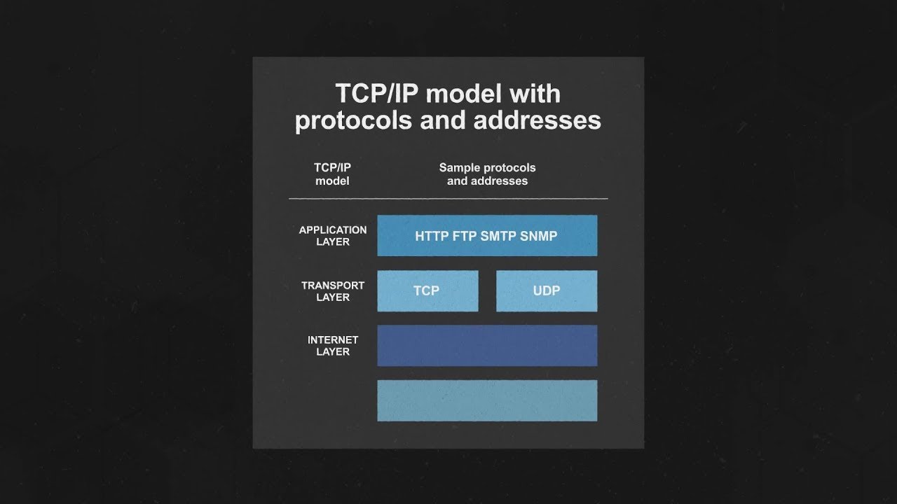 Что такое TCP/IP? Введение (обновлено в 2024 году)
