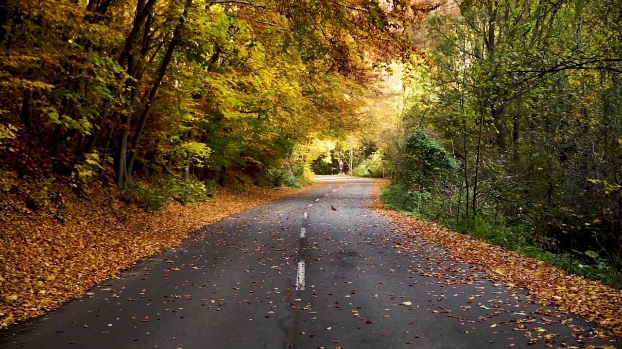 Empty Road/Background video/David Bartus/No copyright