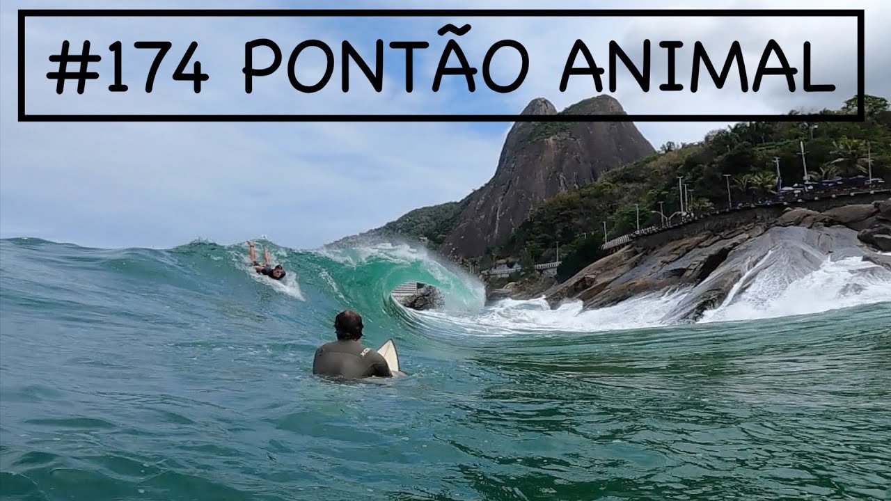 #174 PONTÃO ANIMAL