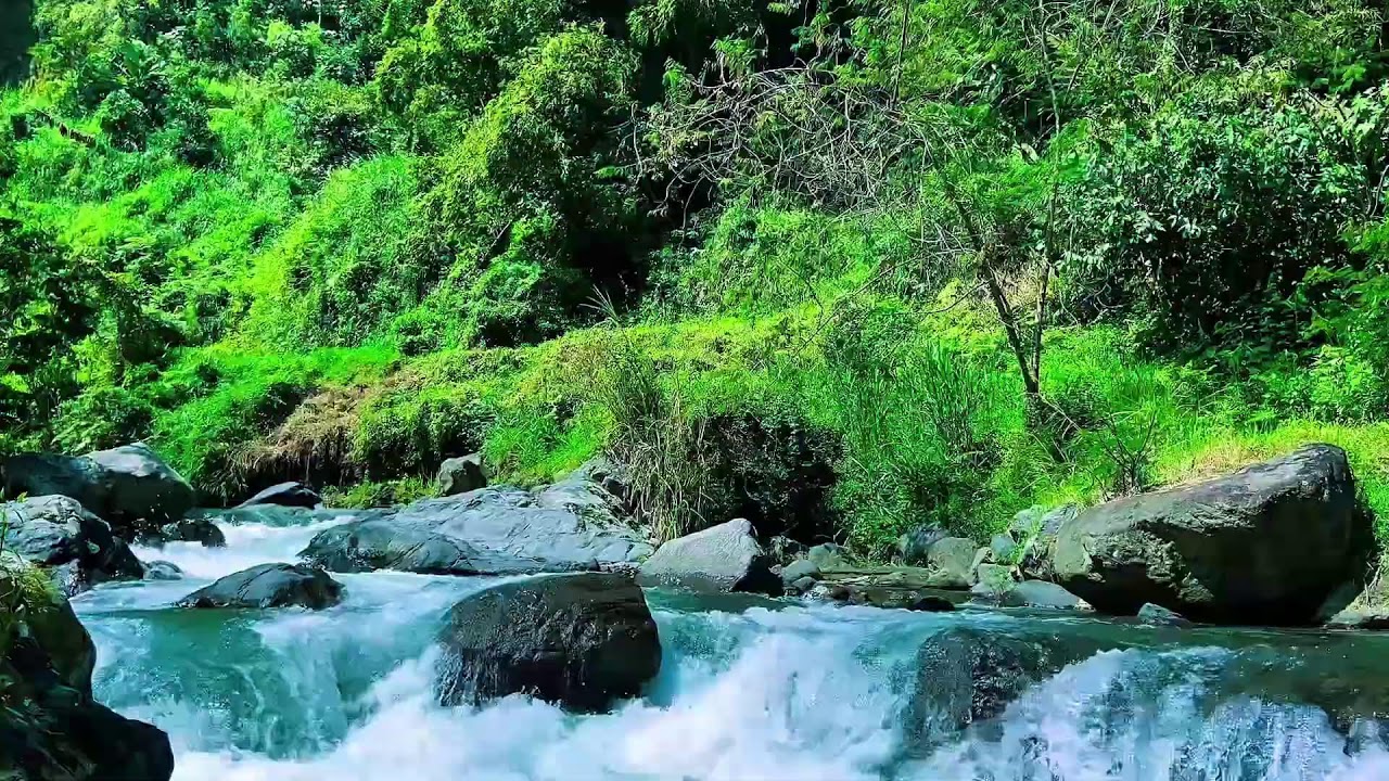 Soothing mountain river sounds for focus
