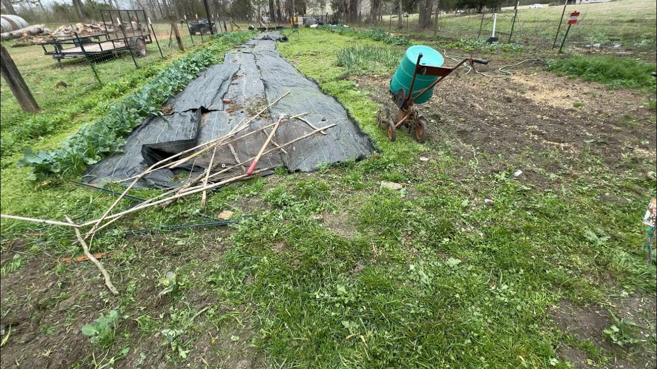 Quick Garden Tour: Before Planting Summer Crops