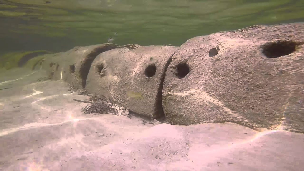 Snorkeling at Catalonia Royal Bavaro