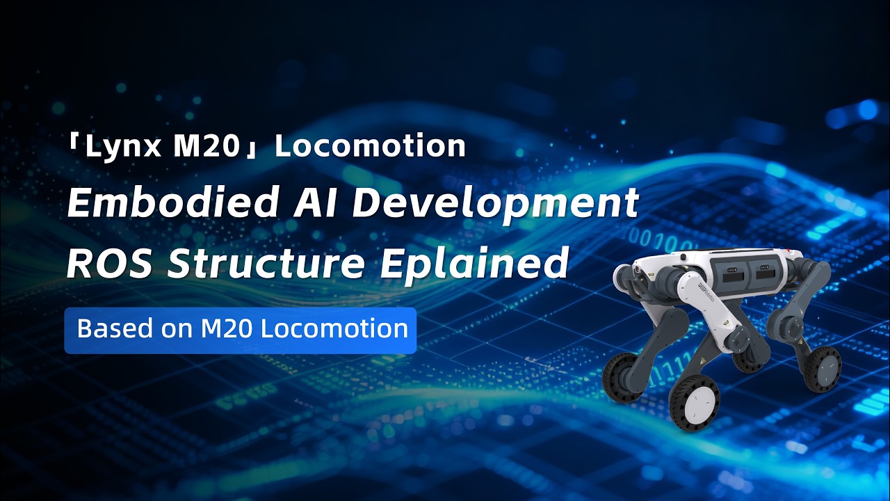 Lynx M20 | [Locomotion] Embodied AI Development ROS2 Structure Explained Based on M20 Locomotion