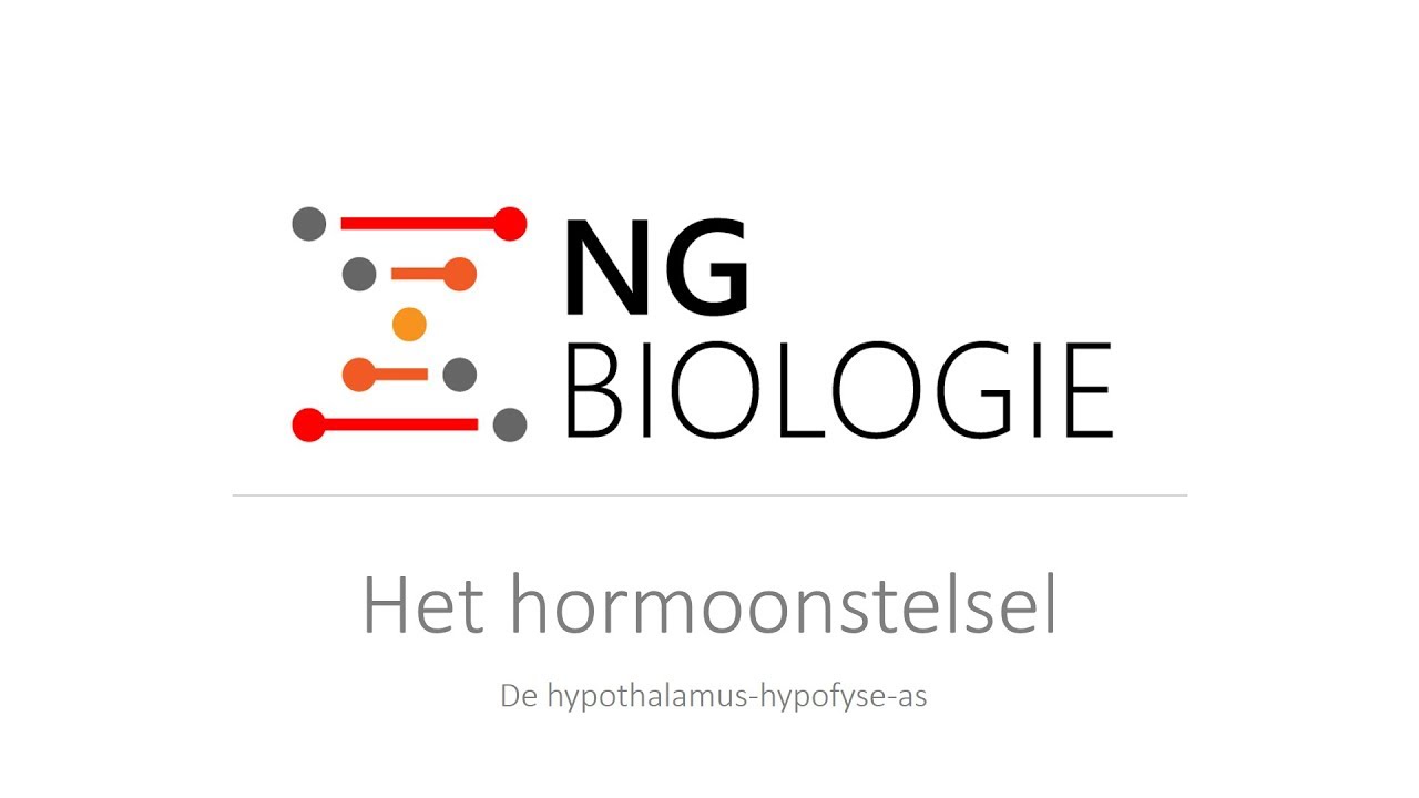 Het hormoonstelsel - de hypothalamus-hypofyse-as - HAVO/VWO