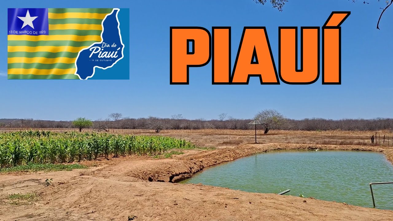 COISAS Sobre o Piau&iacute; que NUNCA te CONTARAM