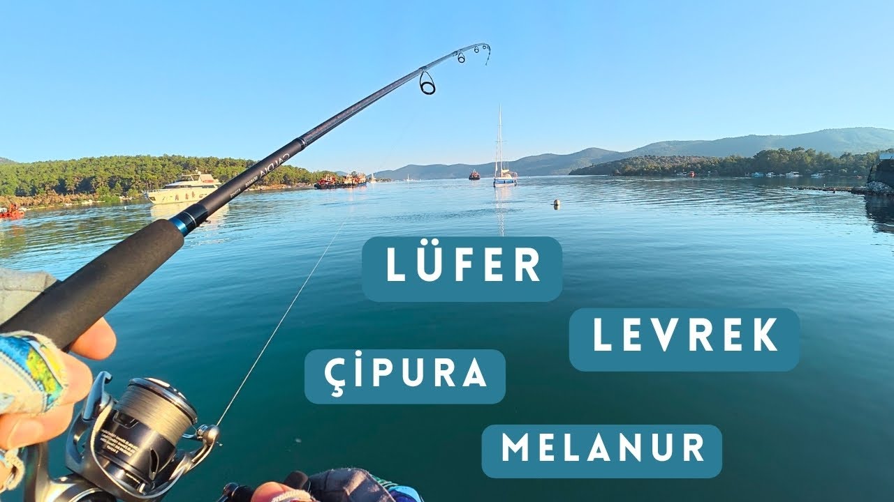 ÇEŞİT YAPTIK... Kıyıdan Levrek Lüfer Melanur Çipura Avı / Kamp ve Balık Avı / Atçek Spin Lrf