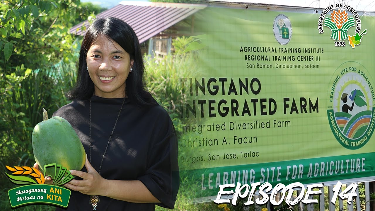 Ani at Kita sa Agrikultura: Integrated Diversified Farming from San Jose, Tarlac | Episode 14