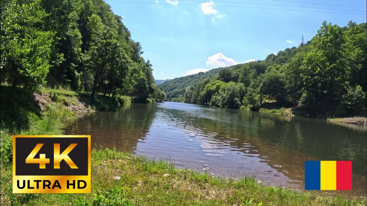 🇹🇩 BEAUTIFUL FOREST IN V&Acirc;LCEA, ROMANIA - 4K 60 FPS - PART 1