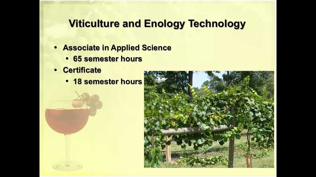 Viticulture and Enology North Carolina's Grape Growing and Winemaking Industry / BioForum