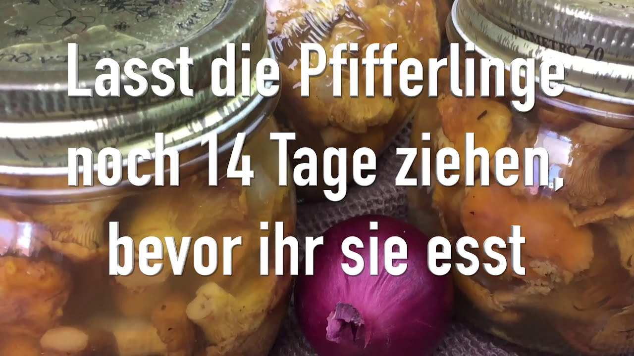 Pfifferlinge | Eierschwammerl einlegen | Rezept - so einfach geht's