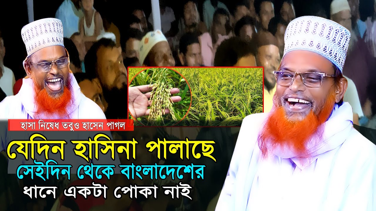 হাসিনা ও পালাইছে বাংলাদেশের ধানের পোকাও হারাইছে | মাওলানা রুহুল আমিন যুক্তিবাদী | হাসা নিষেধ